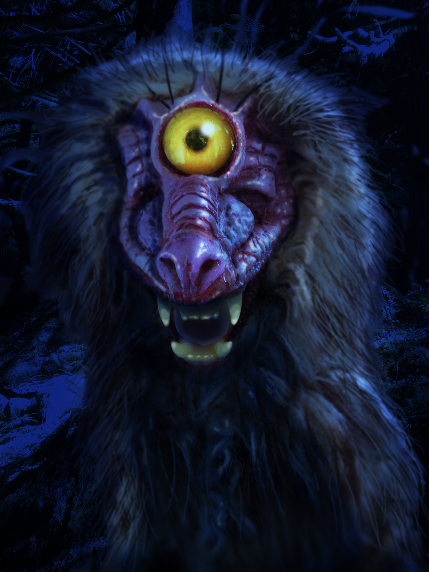 One eyed baboon jackal