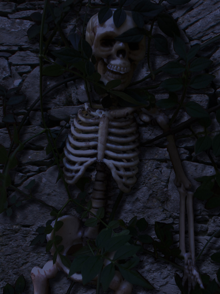 courtyard of horrors 2